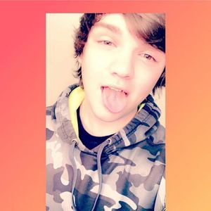 Meet your Posher, Dillon